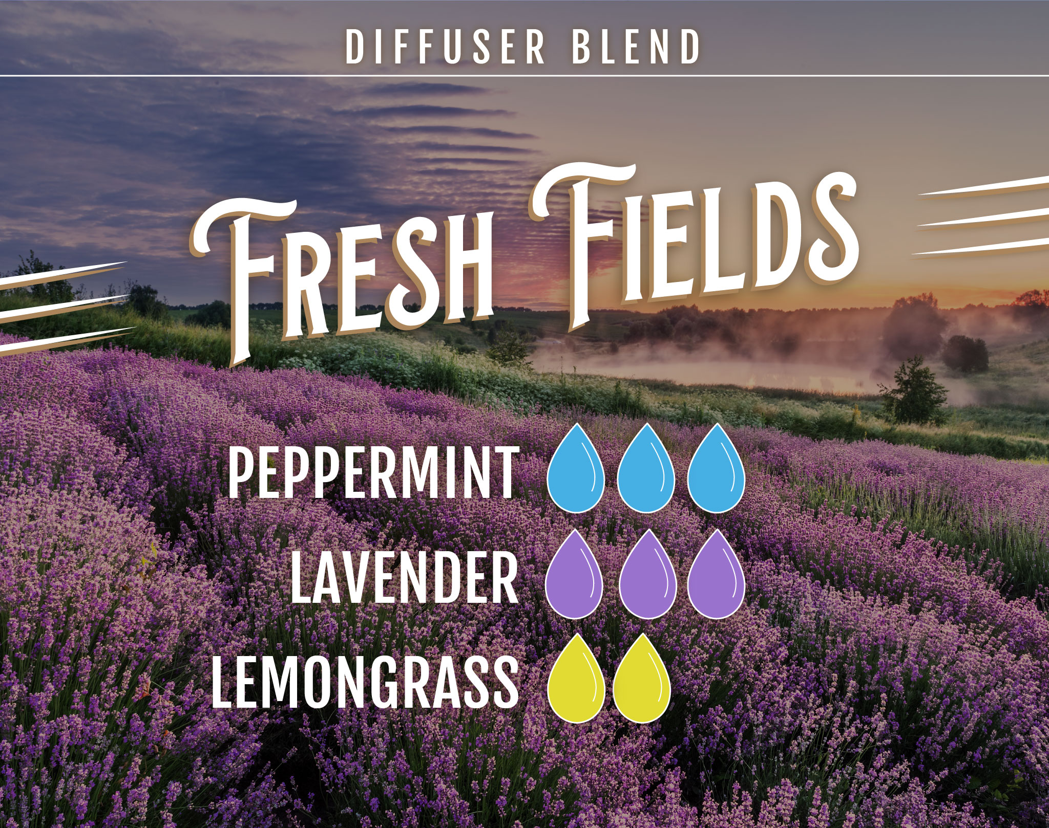 Lavender Diffuser Blends