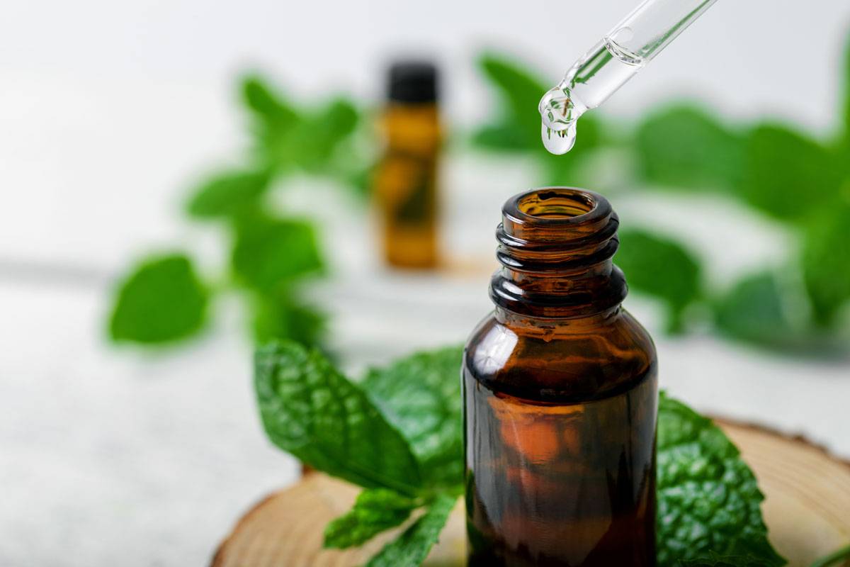 peppermint oil extract