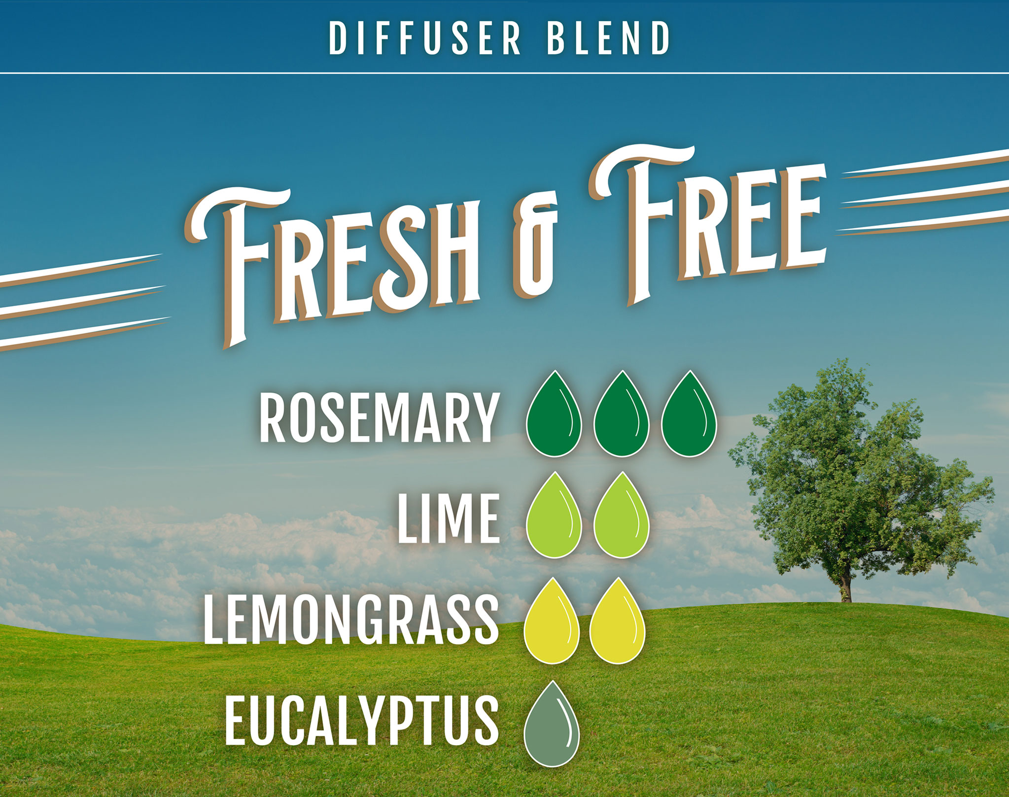 Fresh and Free Rosemary Essential Oil Diffuser Blend - 3 drops of rosemary, 2 drops of lime, 2 drops of lemongrass, 1 drop of eucalyptus