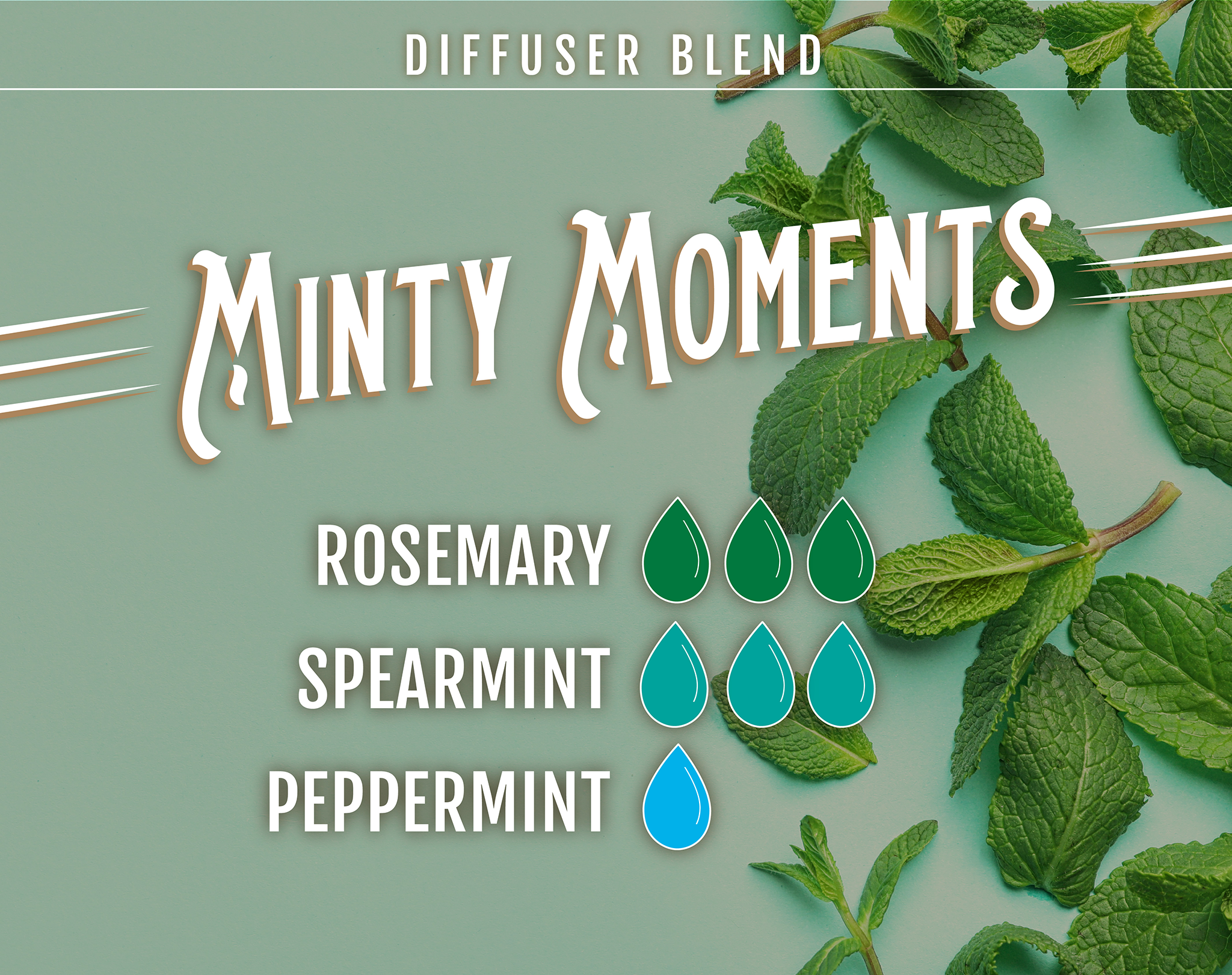 Minty Moments Rosemary Essential Oil Diffuser Blend - 3 drops of Rosemary, 3 drops of Spearmint, 1 drops of Peppermint