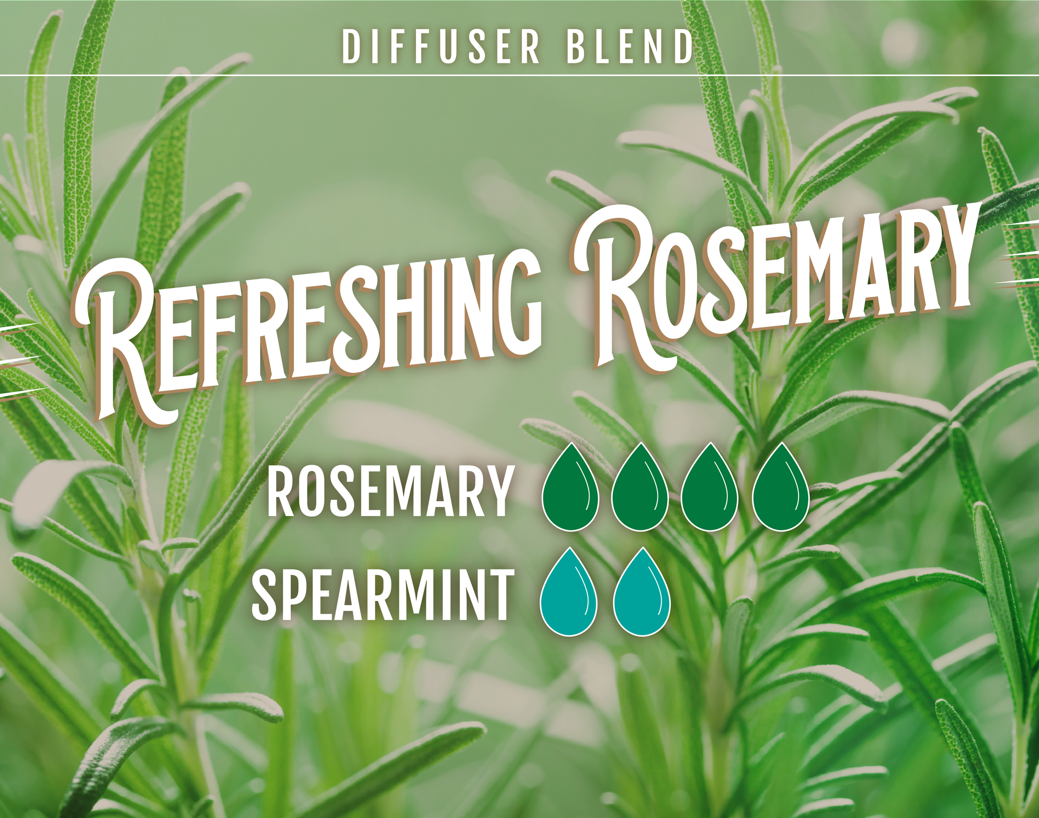 Refreshing Rosemary Diffuser Blend - 4 drops of Rosemary, 2 Drops of Spearmint