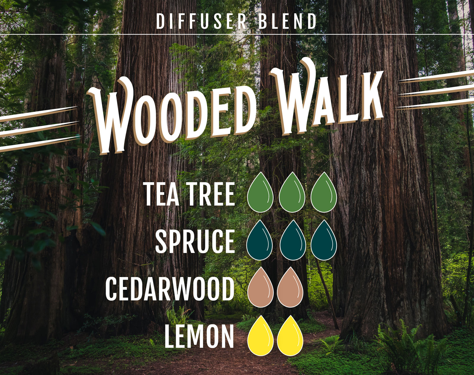 Tea Tree Essential Oil Diffuser Blend Wooded Walk - 3 drops Tea Tree 3 drops Spruce 2 drops Cedarwood 2 drops Lemon
