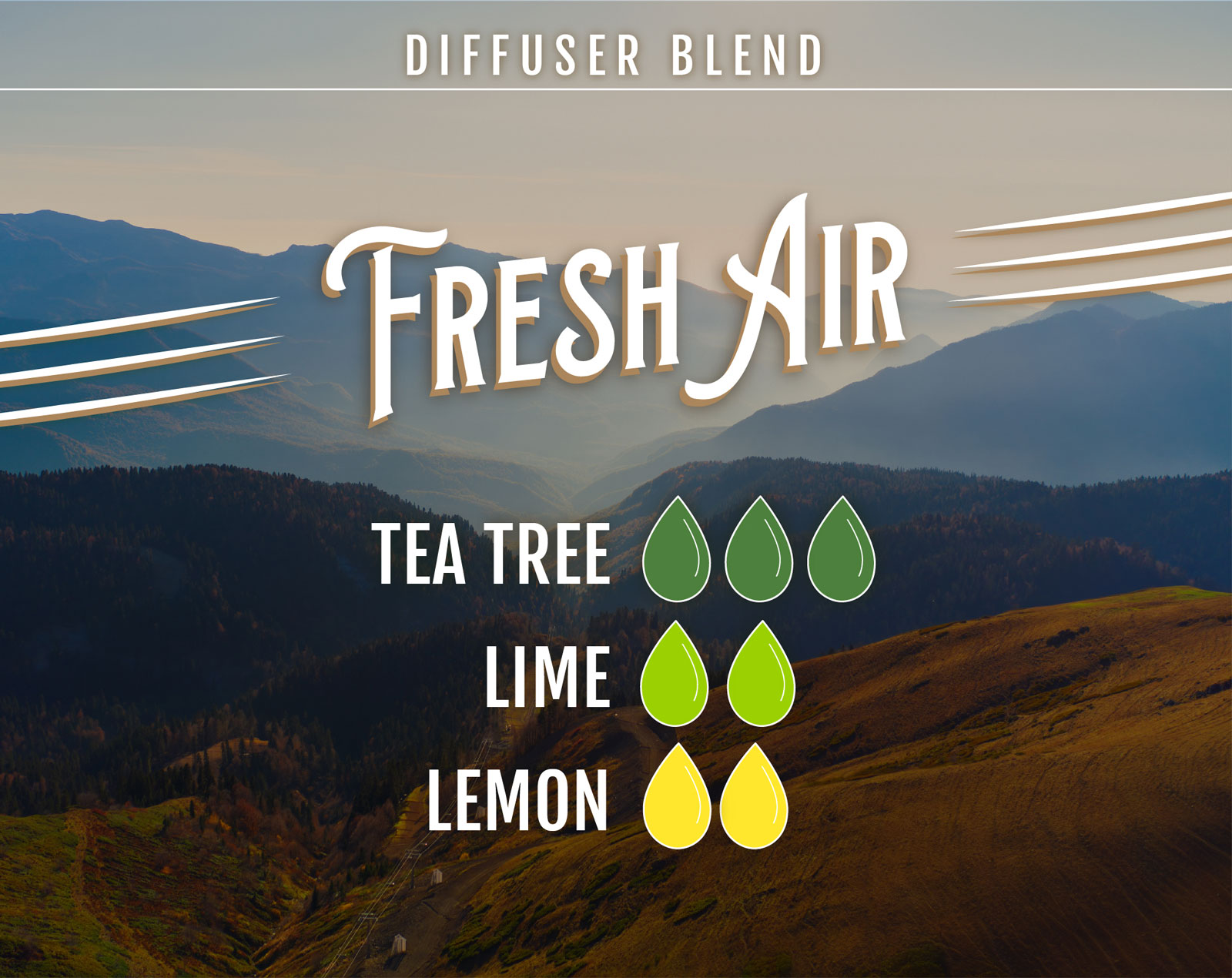 Tea Tree Essential Oil Diffuser Blend Fresh Air - 3 drops Tea Tree 2 drops Lime 2 drops Lemon