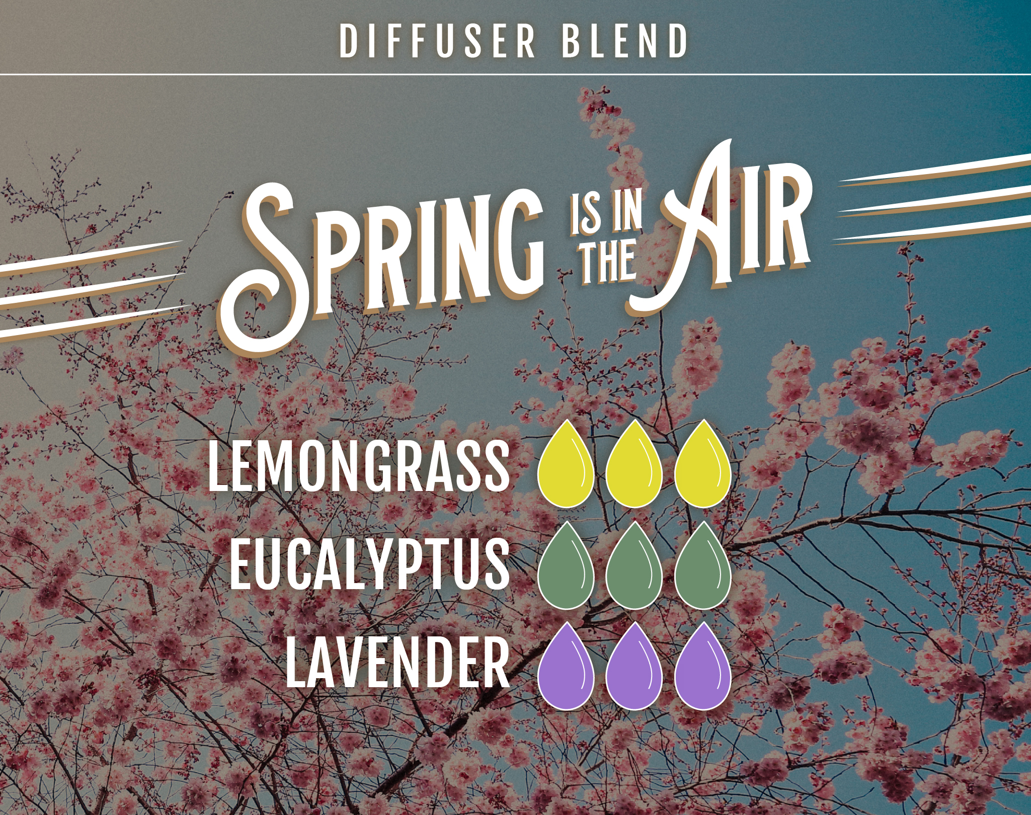 Spring is in the Air Diffuser Blend – 3 drops of Lemongrass EO, 3 drops of Lavender EO, 3 drops of Eucalyptus EO